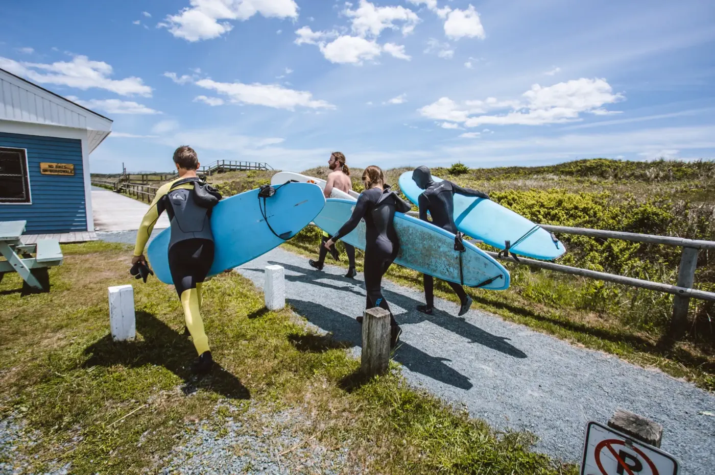 Surf camps